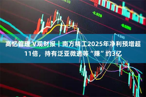 高忆管理 V观财报｜南方精工2025年净利预增超11倍，持有泛亚微透等“赚”约3亿