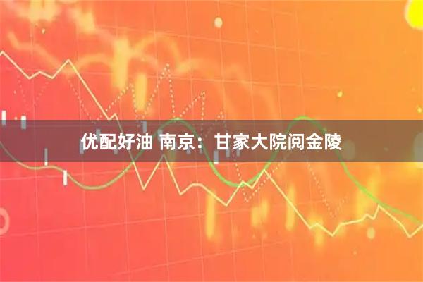 优配好油 南京：甘家大院阅金陵