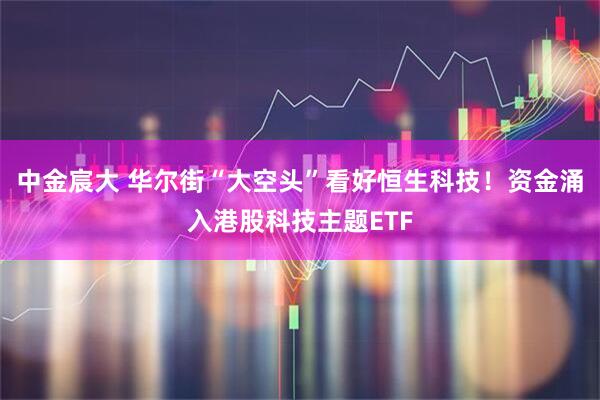 中金宸大 华尔街“大空头”看好恒生科技！资金涌入港股科技主题ETF
